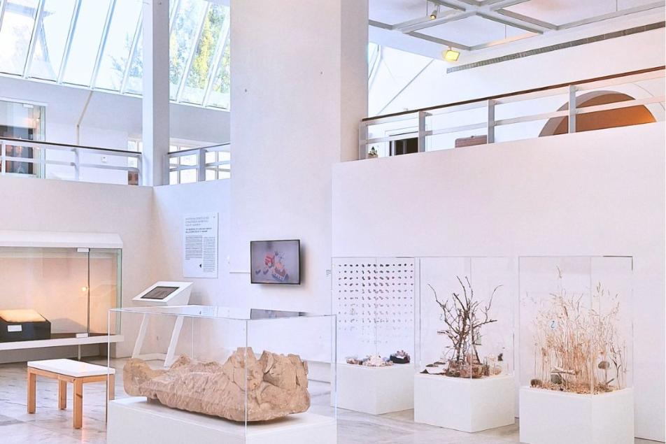 Dauerausstellung des Museums am Dom. Helle Innenansicht mit morderner Architektur und verschiedenen Kunstwerken. Darunter Duftstationen mit verschiedenen Inhalten in Glaskästen.